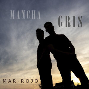 MANCHA GRIS